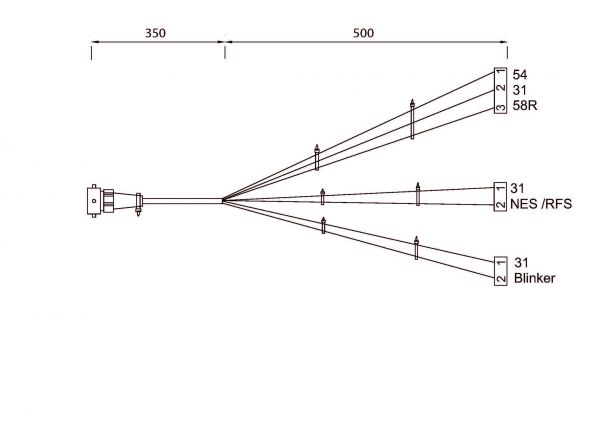 Roundpoint - Adapter 5-polige bajonet - 406739.001 - Toebehoren & onderdelen voor lampen